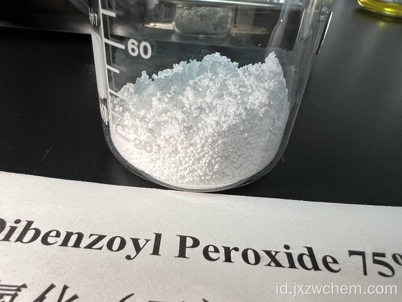 Dibenzoyl peroksida 75% katalisis