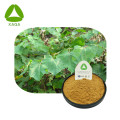 Alangium chinense extract poeder puur natuurlijk