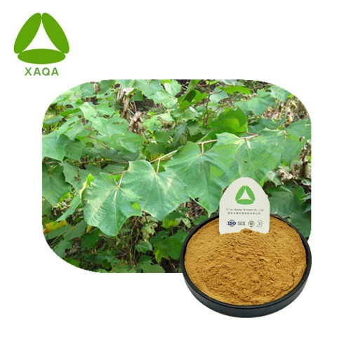 Alangium Chinense Extract Powder Pure Natural