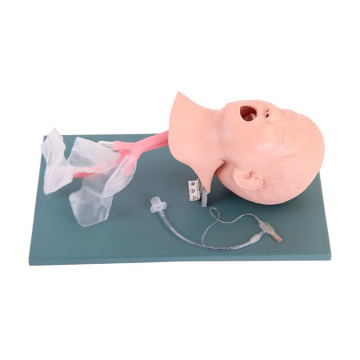 Advanced Child Trachea Intubation Medical Model - CPR Manikin Teaching Instrument (PVC SC-J4A)