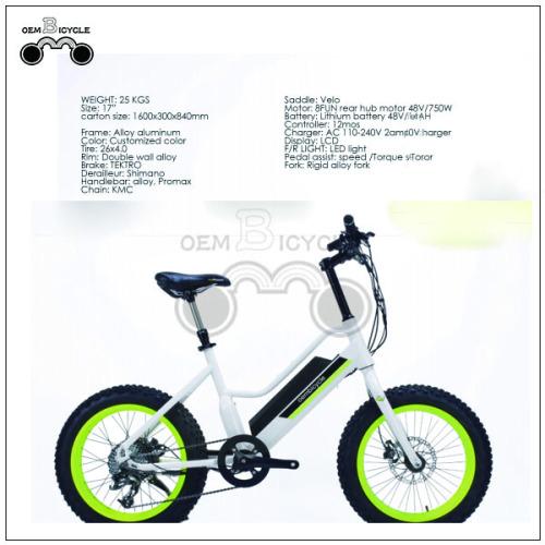 Bicicleta elétrica barata de pneu gordo para crianças