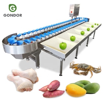 Automatisk rostfritt stålgranatäpple och fiskgraderingsmaskin "Men med tanke på den specifika begäran att härleda från den exakta frasen som tillhandahålls, kan en mer passande titel vara:" Automatiskt rostfritt stål granatäpple och fisksorterin