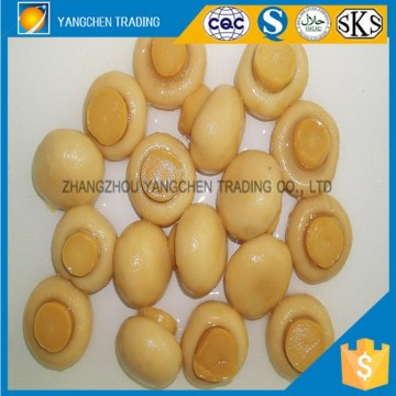 best canned mushroom whole 425g for Indonesia
