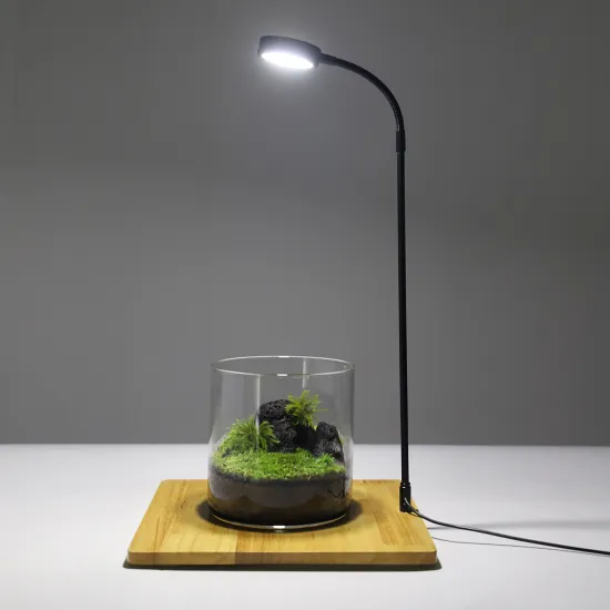 Bamboo Mini Display Plant Desk Lamp with LED Grow Light, Timer, and Adjustable Brightness