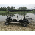 Carrito de golf de 6 plazas a gas a la venta