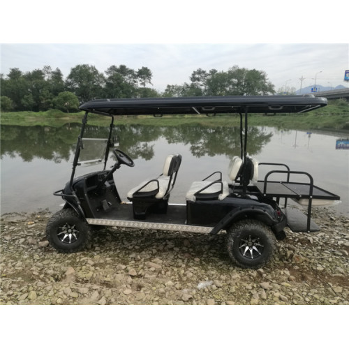 6 seater gas powered golf cart for sale