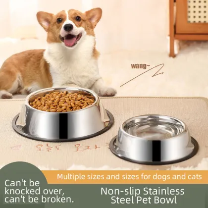 Wholesale Pet Food Accessories: Bowls, Feeders & Water Dispensers