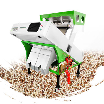 Optical CCD Color Sorting Machine: Precision in Sorting Quinoa, Chili, Carrots, Cucumbers, Tomatoes, Broccoli, and Shallots