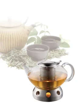 high quality glass teapot, newly design borosilicate glass teapot, heat-resisting glass teapot with SS filter