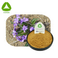 100% Pure Kudiding Extract Powder Clearing Warmte