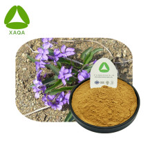 100% Pure Kudiding Extract Powder Clearing Away Heat