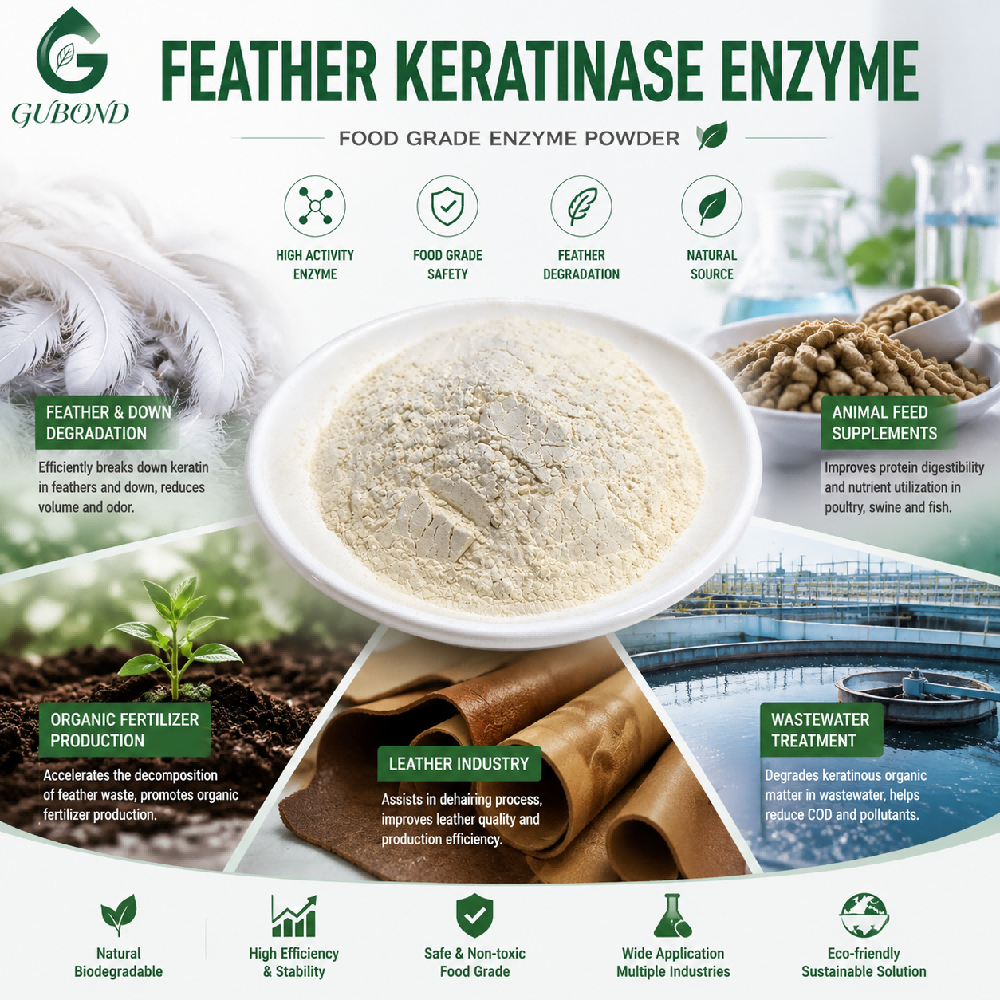 Feather Keratinase (4)