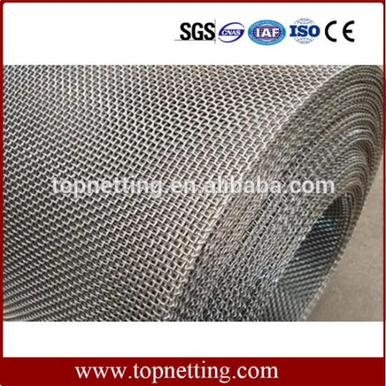 Stainless Steel Wire Mesh/Stainless Steel Woven Wire Cloth/Fine Mesh Screen