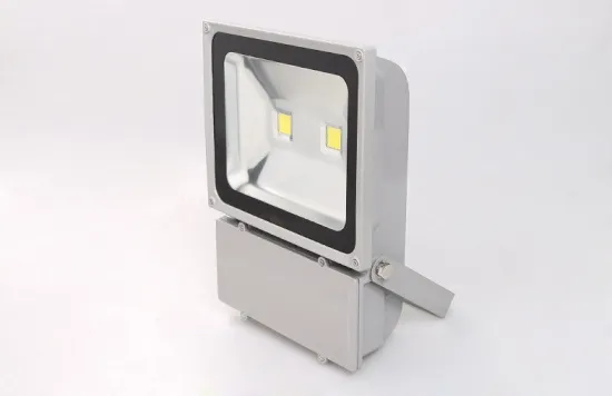 Led Flood Light Lf075004 100w Ip65 For Landscape Lighting