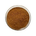 Buy online active ingredients platycodon Extract Powder