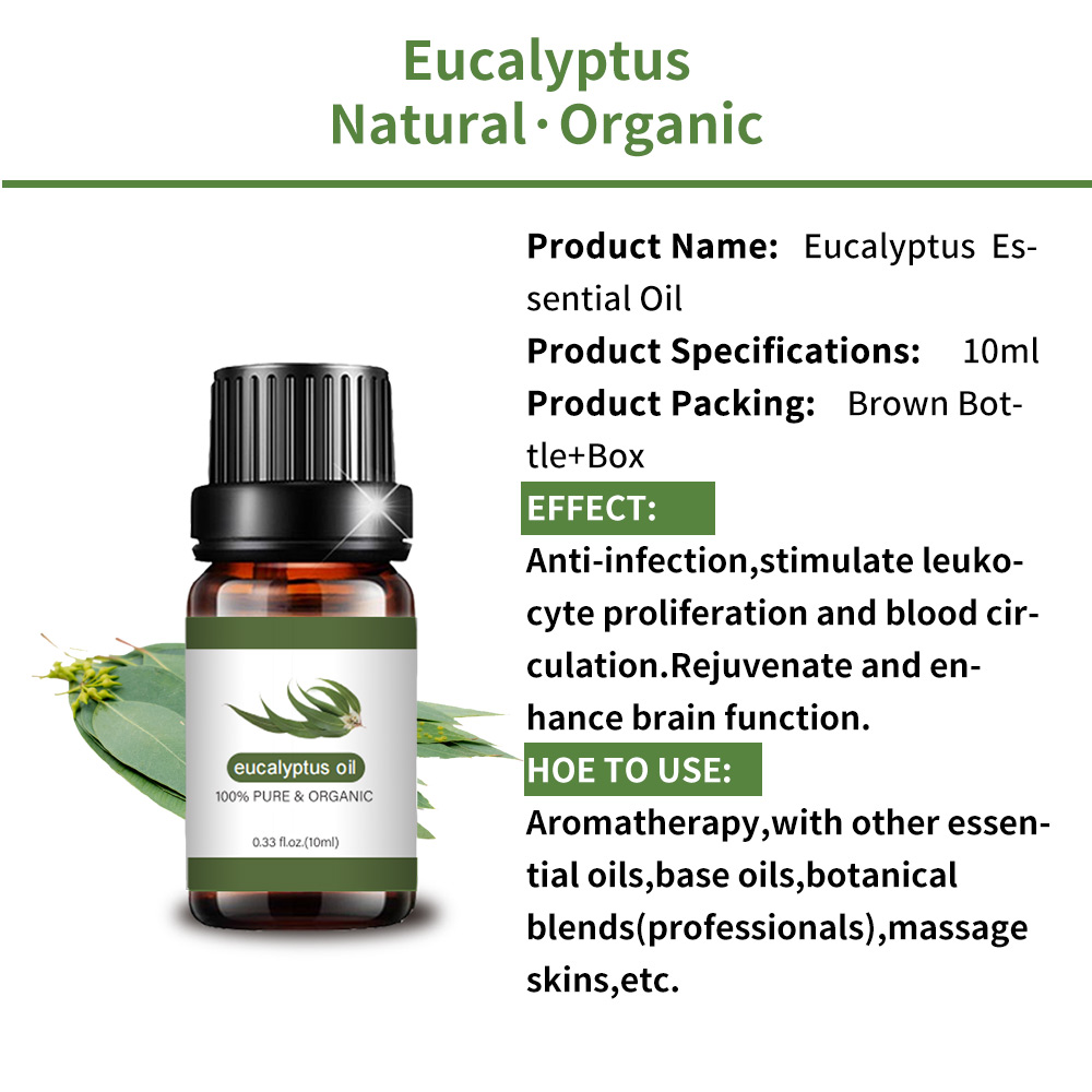 pure natural eucalyptus essential oil food grade sale