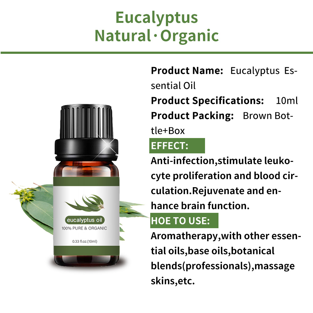 Pure Eucalyptus Essential Essential Oil Food Grade Sale