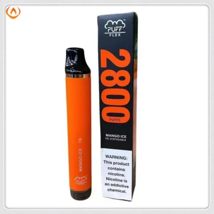 Puff Flex 2800 puffs 10pk - H&S WHOLESALE