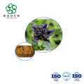 Picrorhiza Extract - Bulk 10:1 for Liver Health & Anti-inflammatory Supplements