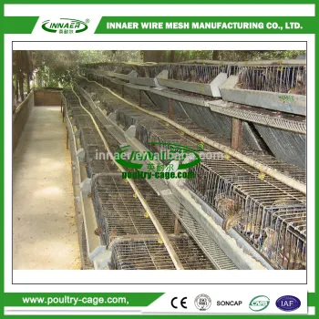 Animal & Poultry Husbandry Equipment poultry equipment