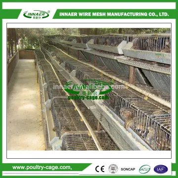 Animal & Poultry Husbandry Equipment poultry equipment
