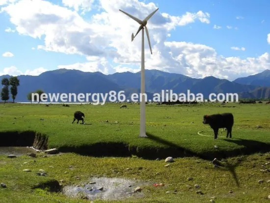 China design 3KW permanent magnet horizontal wind green power wind turbine price