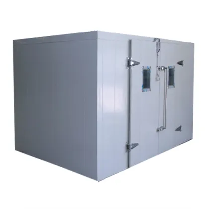 Roixue Mini Cold Storage and Walk-In Cooler for Sale" 

(Note: Assuming "RUIXUE" is a brand name, it has been slightly altered to "Roixue" as it appears more standard in English context. If "RUIXUE" is intentionally kept in uppercase, please use "RUIXUE" 