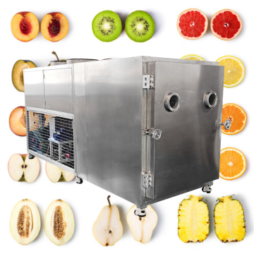 OCEAN Laboratory Vacuum Fruit Vegetable 1000kg Freeze Drying Machine
