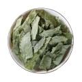 /msite/products/detail/productid/68269607/id/1580676.html