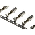 Connettori Rosh Molex 504050601