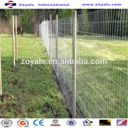 Best Selling of Horse Fencing