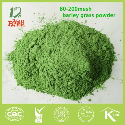 barley grass powder with good quality for food