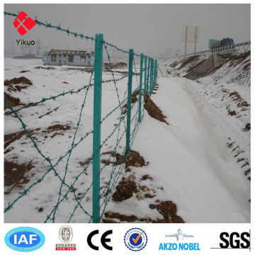 galvanized iron wire/wire mesh fence/barbed wire razor wire mesh wall spike(ISO9001)