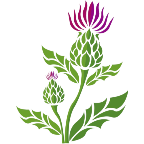 สารสกัดจาก Milk Thistle (Silybin 95% HPLC )