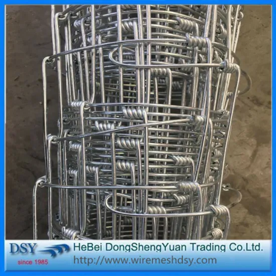 Pig Farming Australia Image Iron Fence