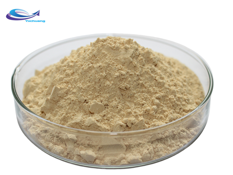 Natural Bulk Price Agricultural Feed Grade Powder Chitosan