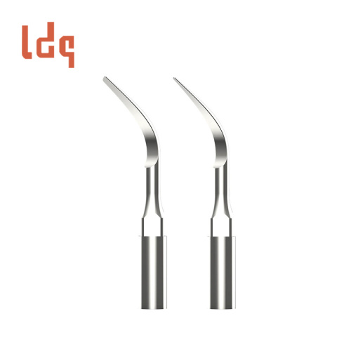 Cabeça de limpeza ultrassônica para os dentes