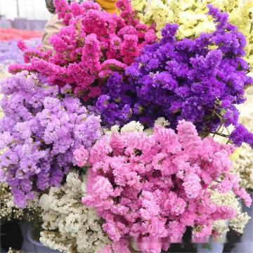 Dried Flowers Bundles: Forget Me Not Preserved Dried Flowers Bouquet for Home, Party, and Wedding Decorations