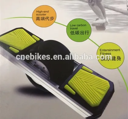 Electric Powered Skateboard 750W Outdoor Sports