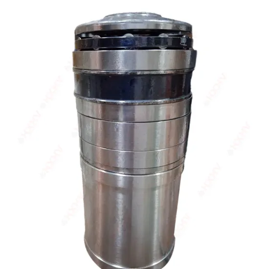 	HXHV Series-Wound Chrome Steel Multiseriate Cylindrical Roller Bearings F-53043.T6AR+F-53042