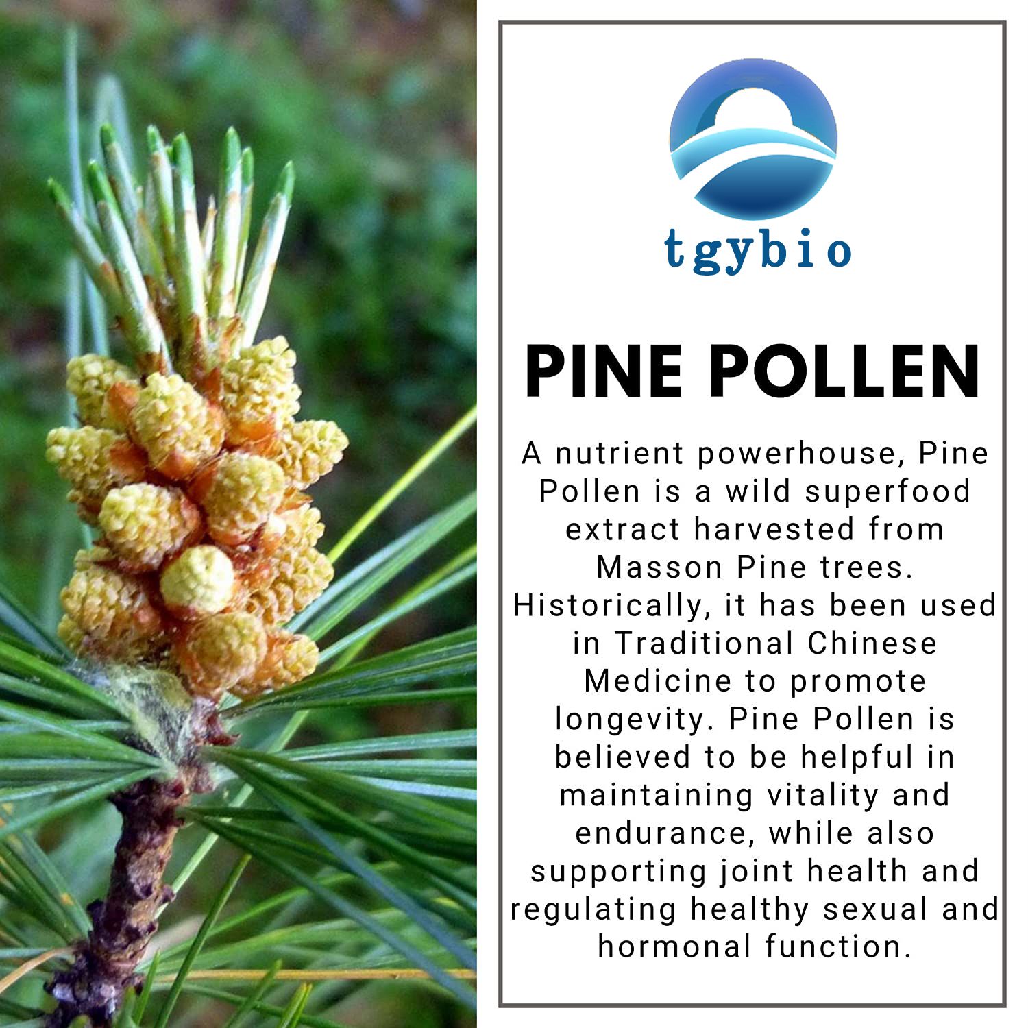 pine pollen powder