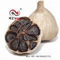 Anti-Aging Organic Black Garlic With FDA Certificate