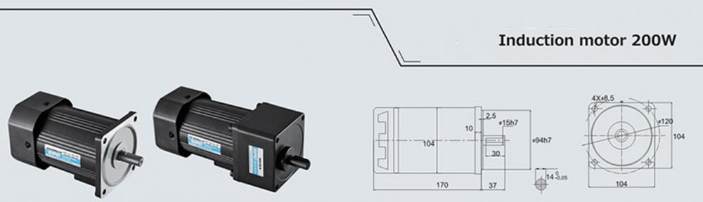 200w Induction Ac Motor