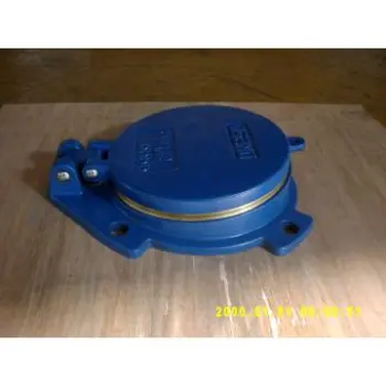Ductile Iron Metallic seated Flap valve