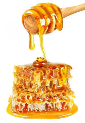 wholesale natural and pure bee honey low price