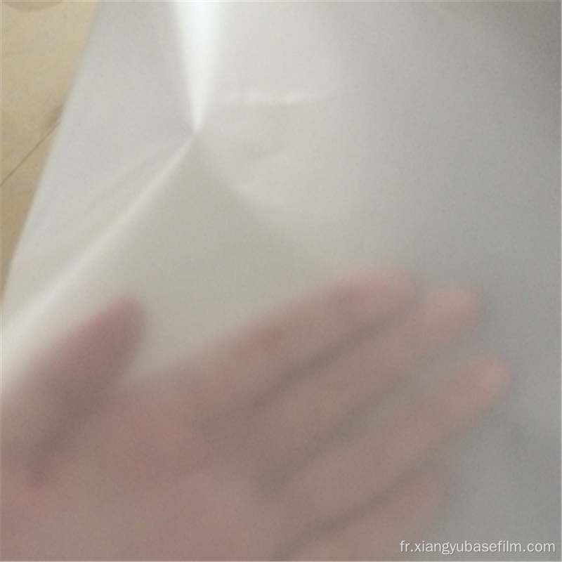 Film de protection pour doublures de salle de bain translucide mat