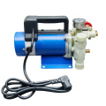 Pompe à piston agricole portable haute puissance 48 V 200 W