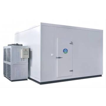 DIY Factory Custom Cold Storage Solutions for Meat, Chicken, Fish, and Ice: Easy Assembly Refrigeration Systems