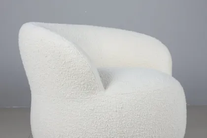 Modern designer chair joy arm chair for home