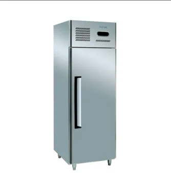 Vertical Stainless Steel Fridge and Freezer for Commercial Kitchens